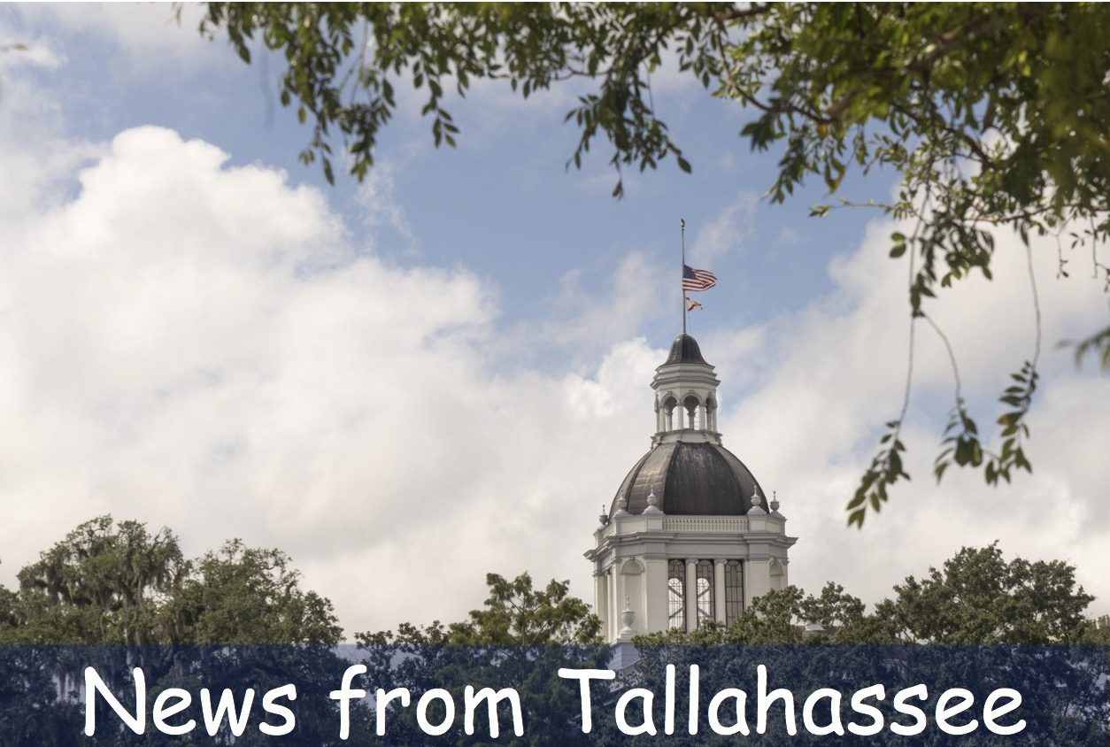 News from Tallahassee