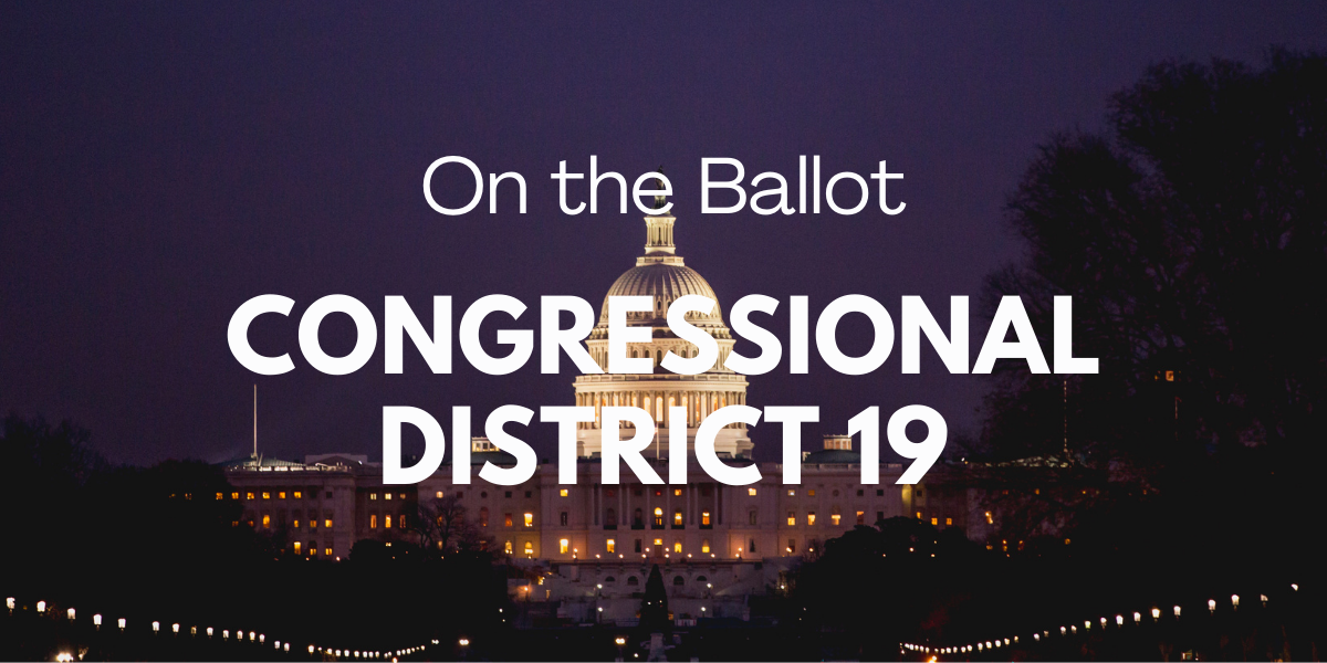 Congress District 19